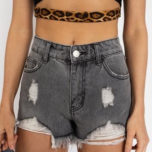 Kittenish Smokey Black Denim Shorts